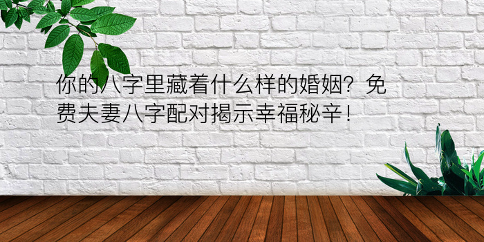 你的八字里藏着什么样的婚姻？免费夫妻八字配对揭示幸福秘辛！