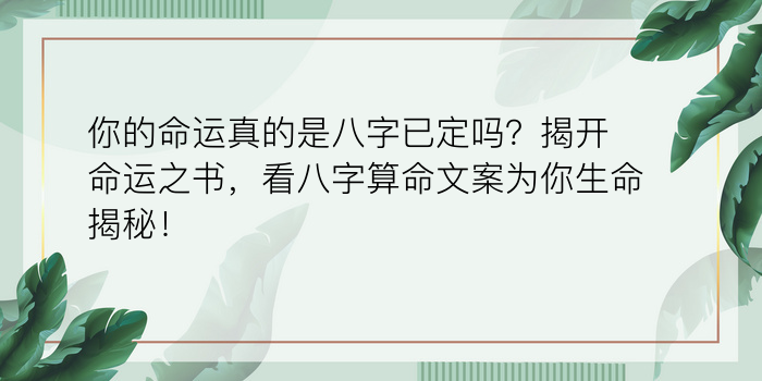 八字日柱辛金运程表游戏截图