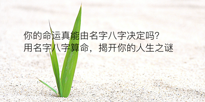 八字算命黄历游戏截图