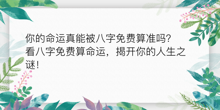 夫妻算命生辰八字配对游戏截图