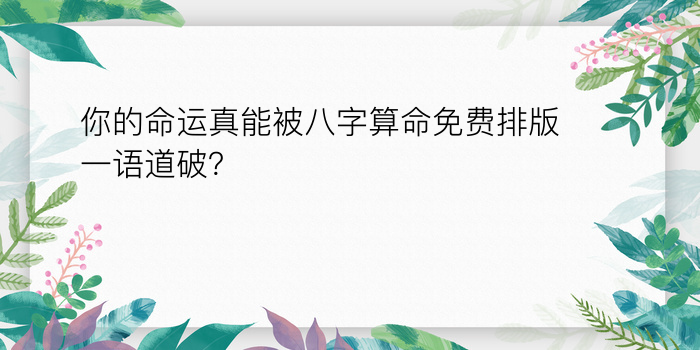 运程八字游戏截图