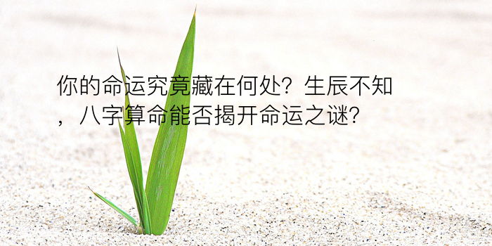 八字算命测名字游戏截图