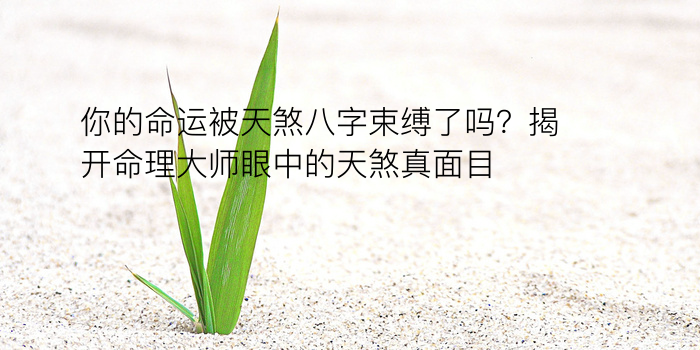 算命生辰八字测算游戏截图