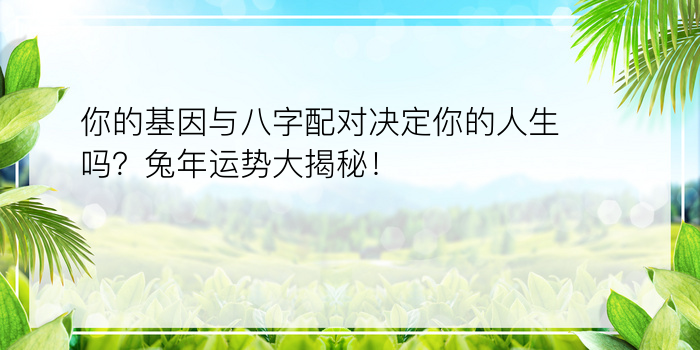 你的基因与八字配对决定你的人生吗？兔年运势大揭秘！