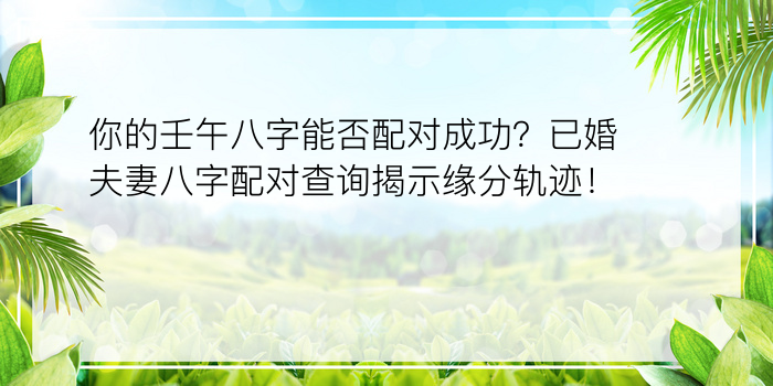 你的壬午八字能否配对成功？已婚夫妻八字配对查询揭示缘分轨迹！