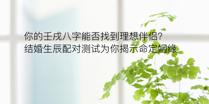 你的壬戌八字能否找到理想伴侣？结婚生辰配对测试为你揭示命定姻缘！