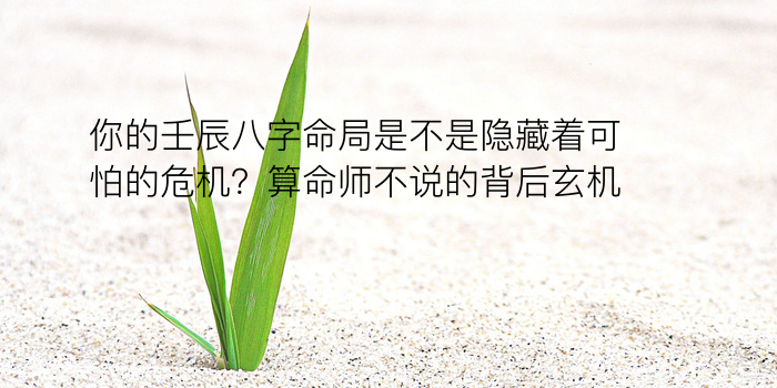 八字查询今日运程游戏截图