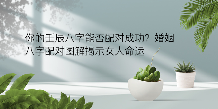 在线八字算命游戏截图