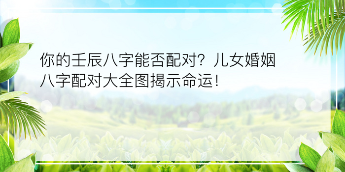 你的壬辰八字能否配对？儿女婚姻八字配对大全图揭示命运！