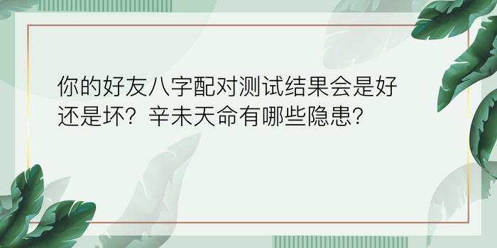 查询生辰八字及五行游戏截图