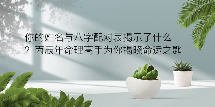 如何算八字五行属性游戏截图