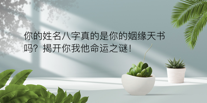 免费八字算命游戏截图