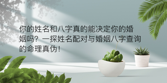 八字配对w游戏截图