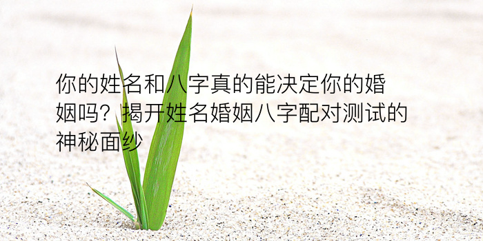 酉的八字运程游戏截图