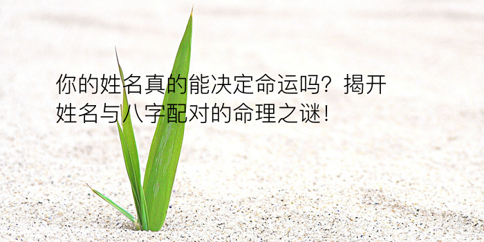 八字五行测算游戏截图