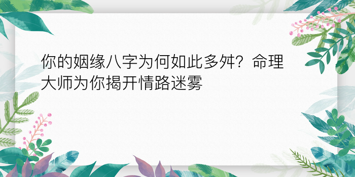 舒淇八字运程游戏截图