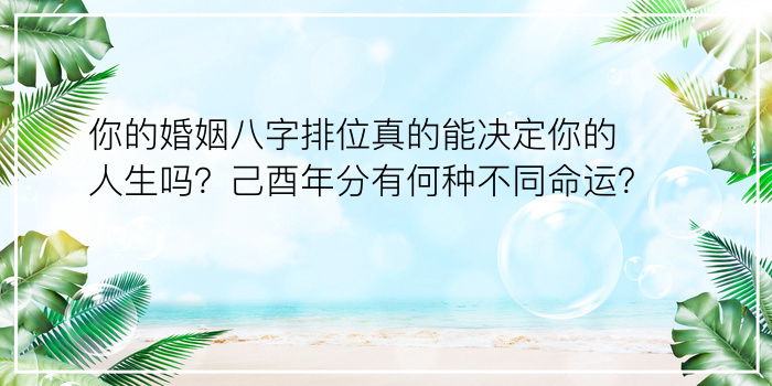 你的婚姻八字排位真的能决定你的人生吗？己酉年分有何种不同命运？