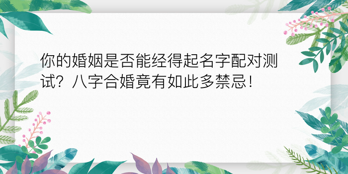 今日八字运程侧算游戏截图