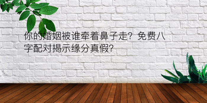 你的婚姻被谁牵着鼻子走？免费八字配对揭示缘分真假？