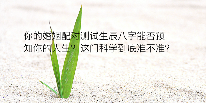 八字算命讲解游戏截图