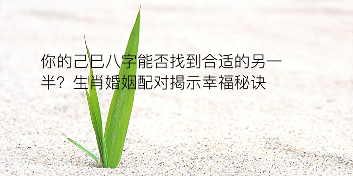 测五行八字游戏截图