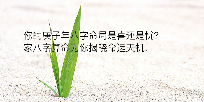 人生八字运程游戏截图