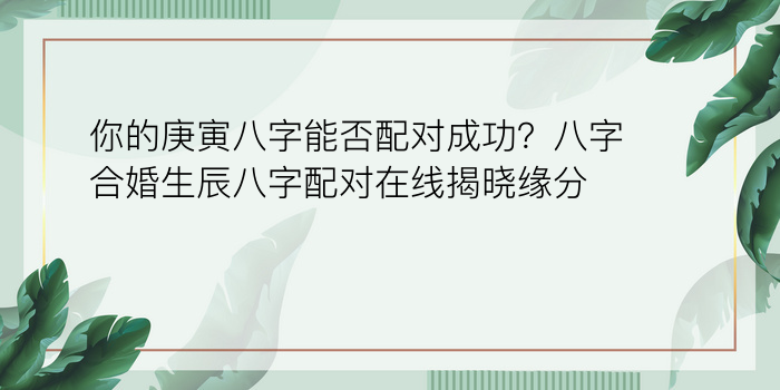 八字中的运程二十年游戏截图