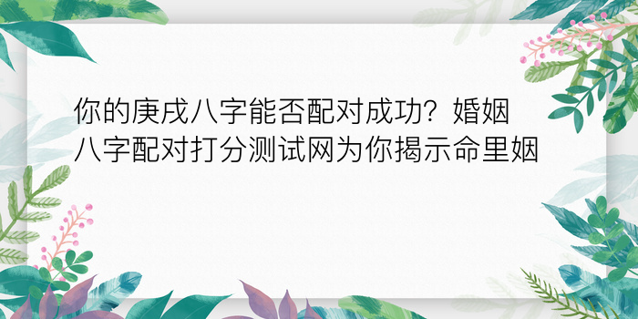 你的庚戌八字能否配对成功？婚姻八字配对打分测试网为你揭示命里姻缘