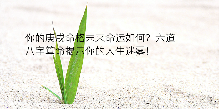 称骨算命八字游戏截图