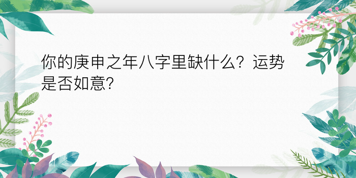 起名与八字游戏截图