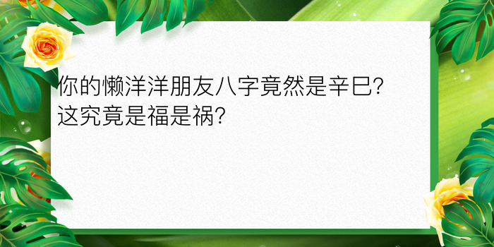 狗的最佳婚配属相游戏截图