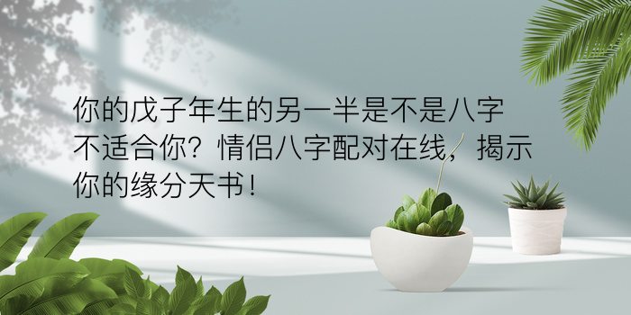 八字算命运势游戏截图