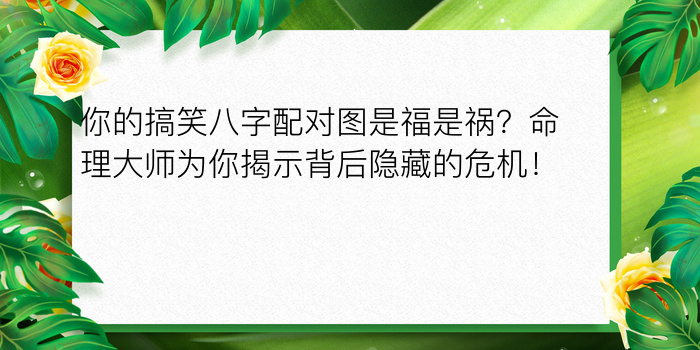 阴历生辰八字算命游戏截图