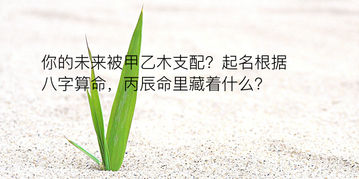 你的未来被甲乙木支配？起名根据八字算命，丙辰命里藏着什么？