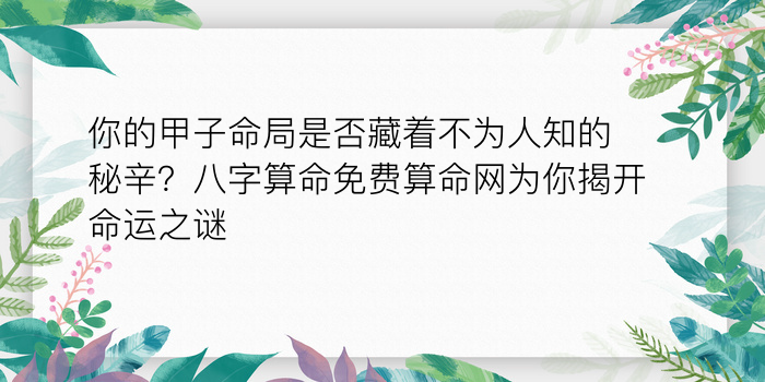 时生八字算命游戏截图