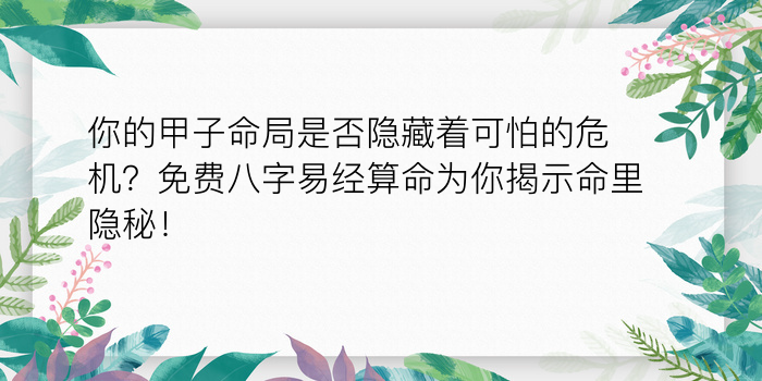 八字算命汉程游戏截图