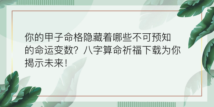 免费根据生辰八字起名游戏截图