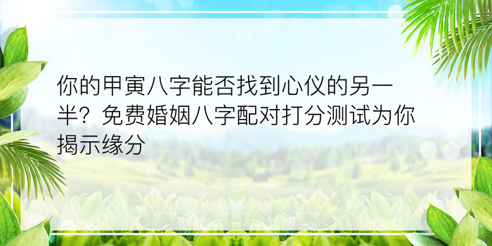 你的甲寅八字能否找到心仪的另一半？免费婚姻八字配对打分测试为你揭示缘分