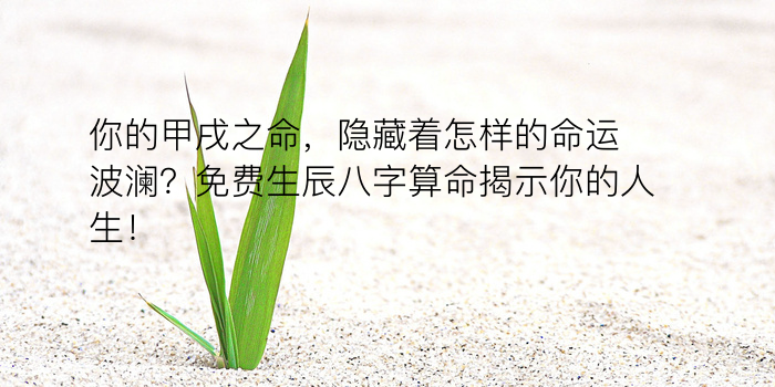 易奇八字运程车游戏截图