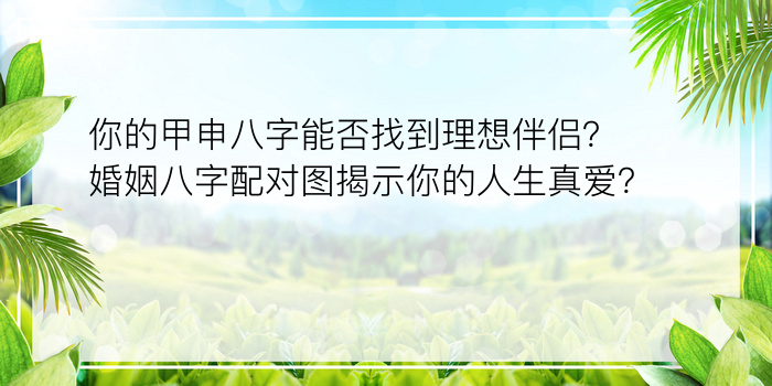 你的甲申八字能否找到理想伴侣？婚姻八字配对图揭示你的人生真爱？