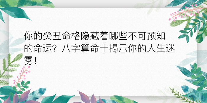 你的癸丑命格隐藏着哪些不可预知的命运？八字算命十揭示你的人生迷雾！