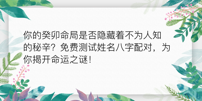 你的癸卯命局是否隐藏着不为人知的秘辛？免费测试姓名八字配对，为你揭开命运之谜！