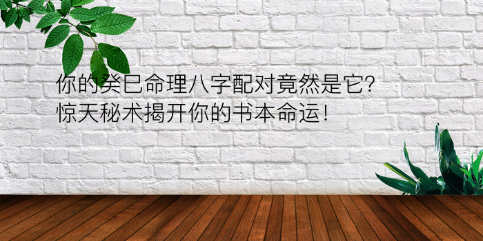 你的癸巳命理八字配对竟然是它？惊天秘术揭开你的书本命运！