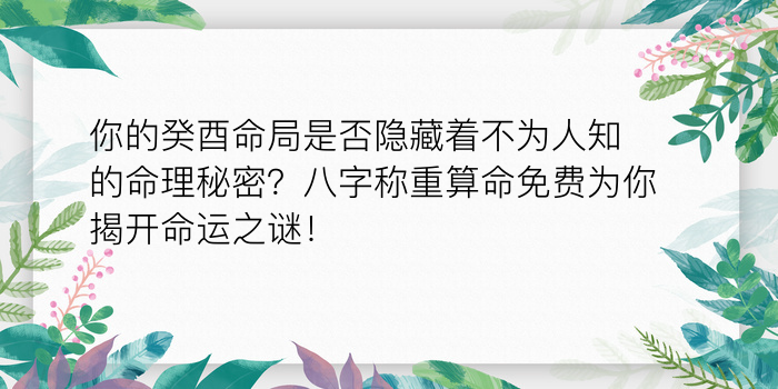 鬼谷子八字算命术游戏截图