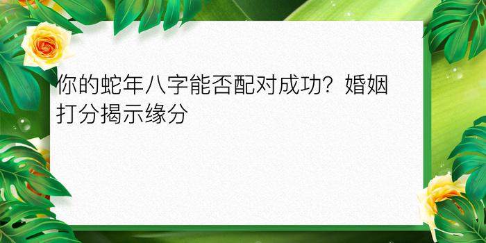 你的蛇年八字能否配对成功？婚姻打分揭示缘分