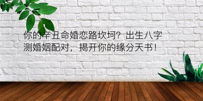 你的辛丑命婚恋路坎坷？出生八字测婚姻配对，揭开你的缘分天书！