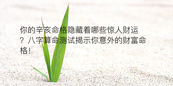 生辰八字免费起名字游戏截图