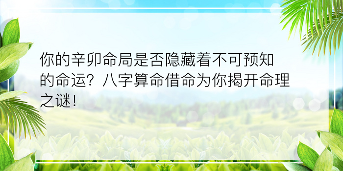 你的辛卯命局是否隐藏着不可预知的命运？八字算命借命为你揭开命理之谜！