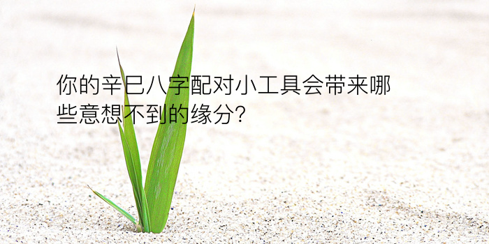 你的辛巳八字配对小工具会带来哪些意想不到的缘分？