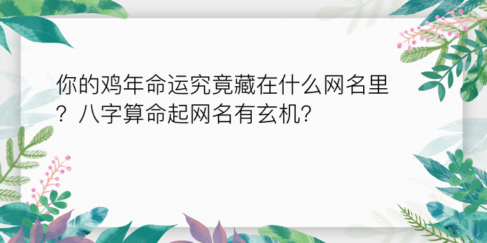 查询运程八字游戏截图